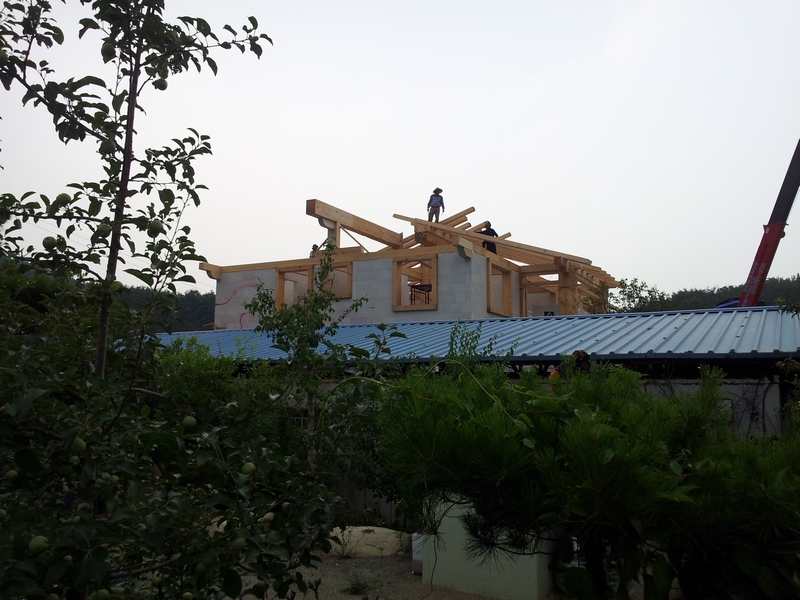 20120623_154511.jpg
