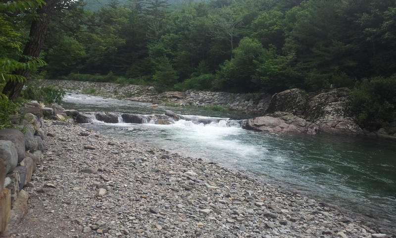 2011-07-11-047.jpg