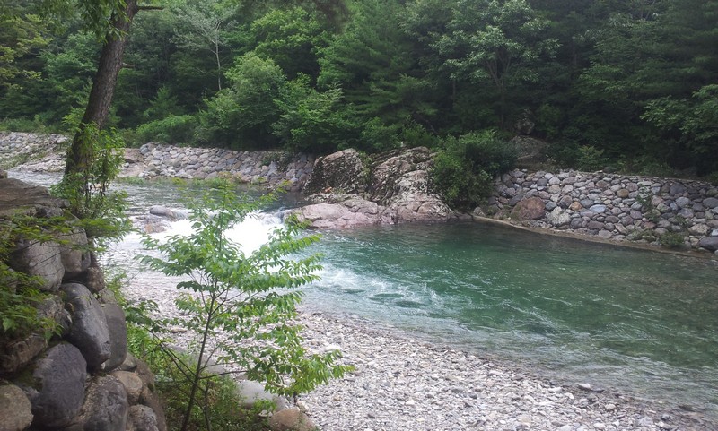 2011-07-11-048.jpg