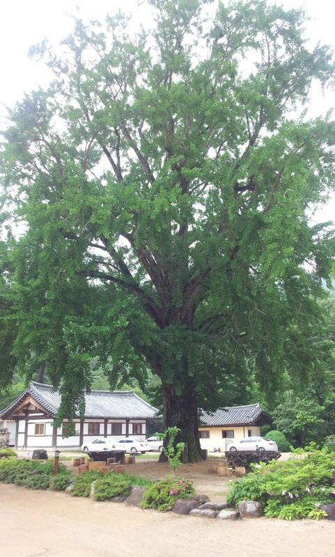 2011-07-10-032.jpg