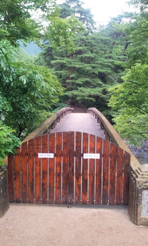 2011-07-10-028.jpg
