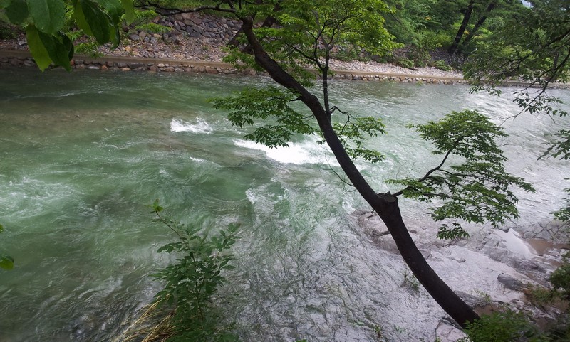 2011-07-10-026.jpg