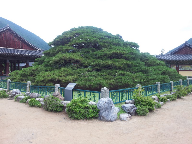 2011-07-10-013.jpg
