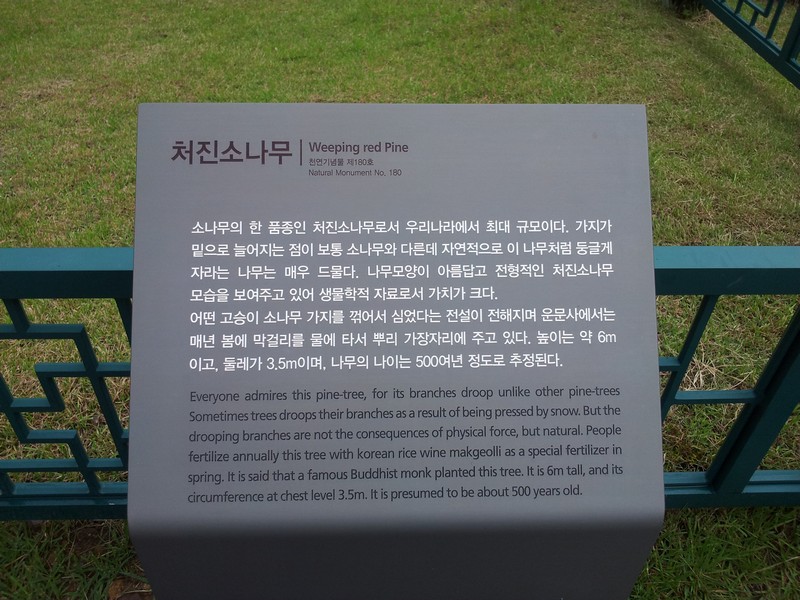 2011-07-10-014.jpg