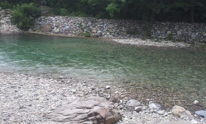 2011-07-11-045.jpg