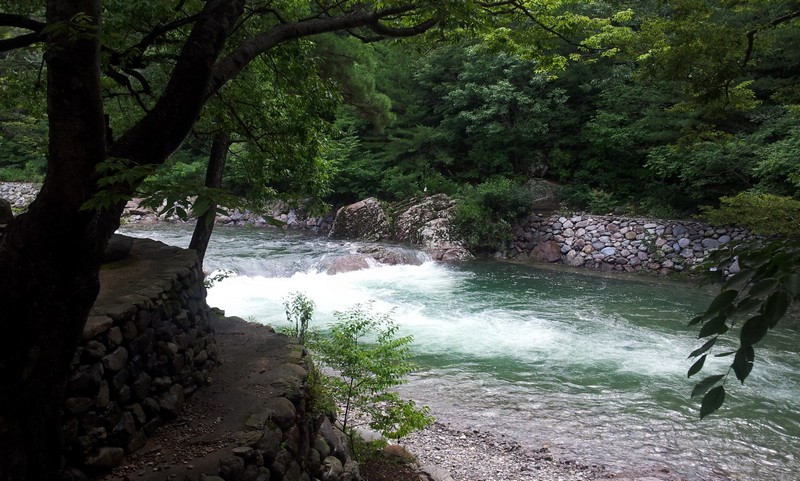 2011-07-10-043.jpg