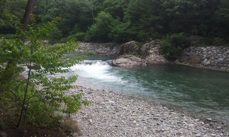 2011-07-11-046.jpg