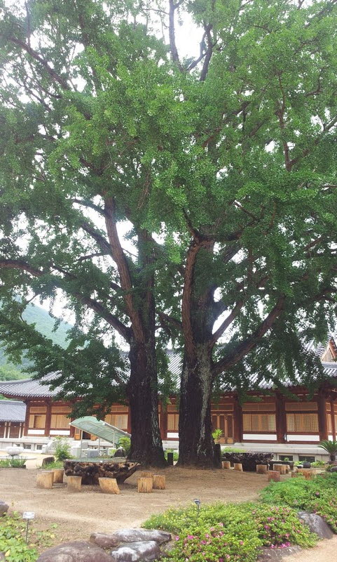 2011-07-10-035.jpg