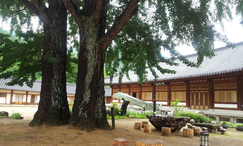 2011-07-10-034.jpg
