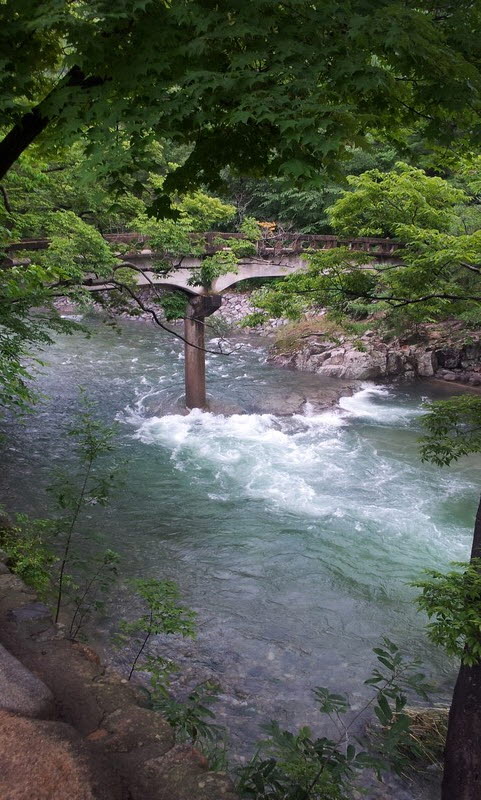 2011-07-10-024.jpg