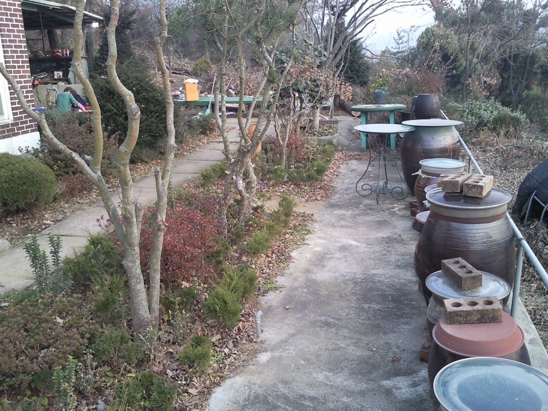 2010-12-01-038.jpg
