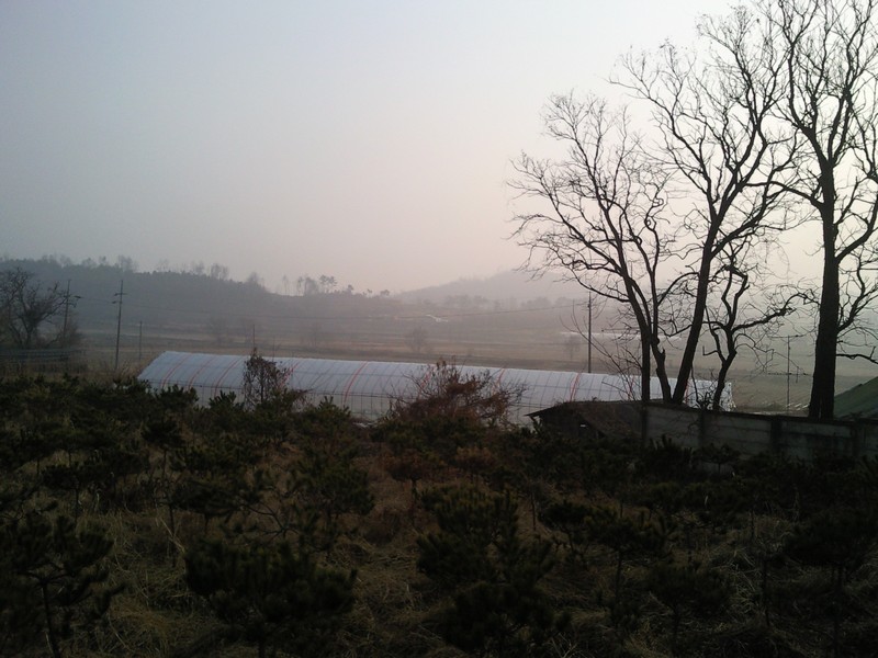 2010-12-01-026.jpg