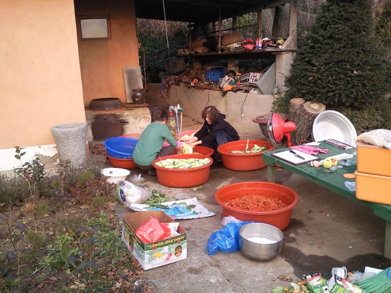 2010-12-01-028.jpg