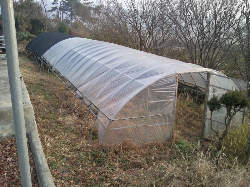 2010-12-01-041.jpg