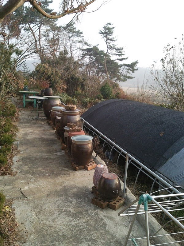 2010-12-01-017.jpg