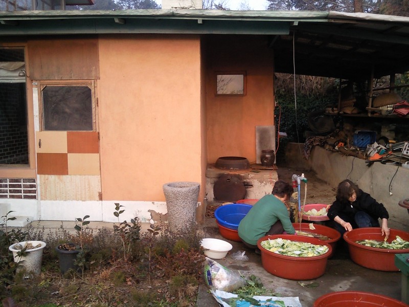 2010-12-01-033.jpg