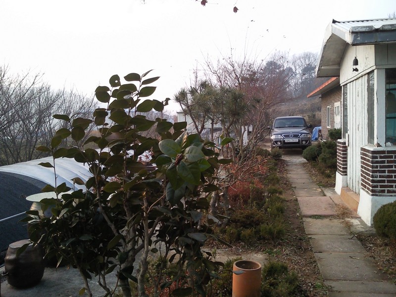 2010-12-01-037.jpg
