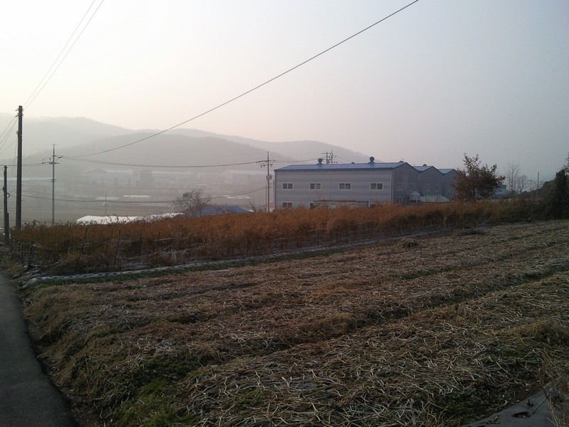 2010-12-01-022.jpg