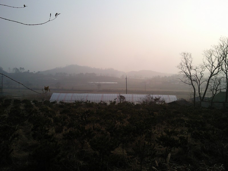 2010-12-01-023.jpg