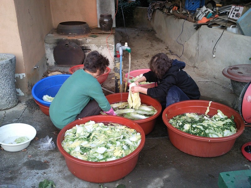 2010-12-01-031.jpg