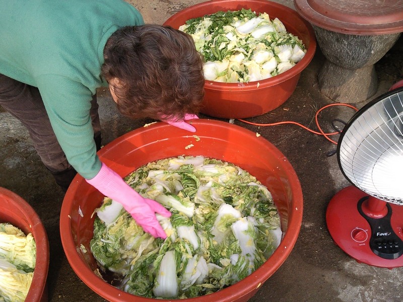 2010-12-01-007.jpg