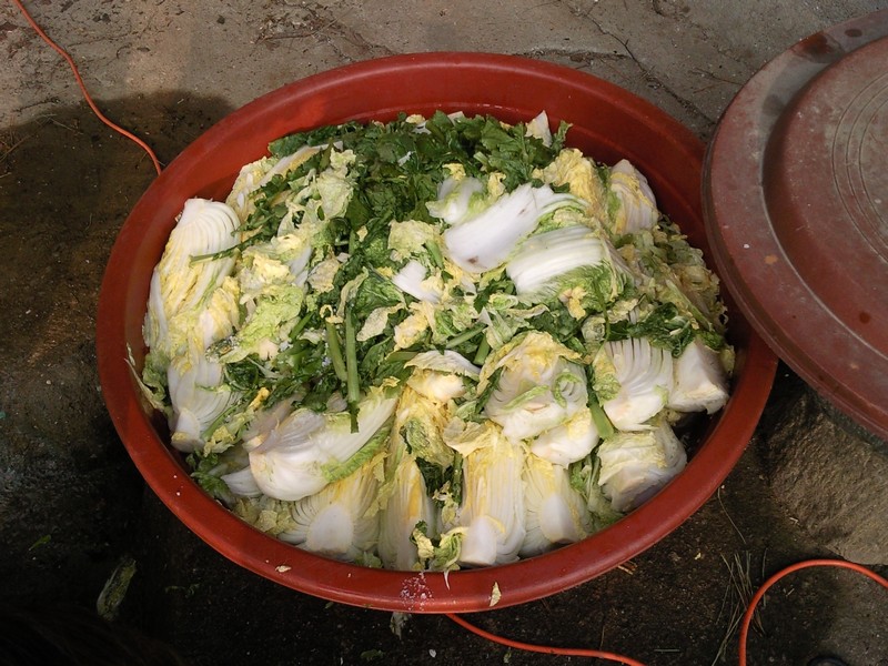 2010-12-01-009.jpg