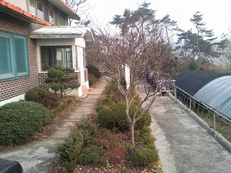 2010-12-01-049.jpg