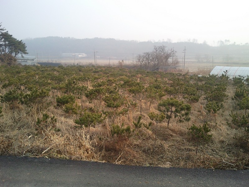 2010-12-01-025.jpg