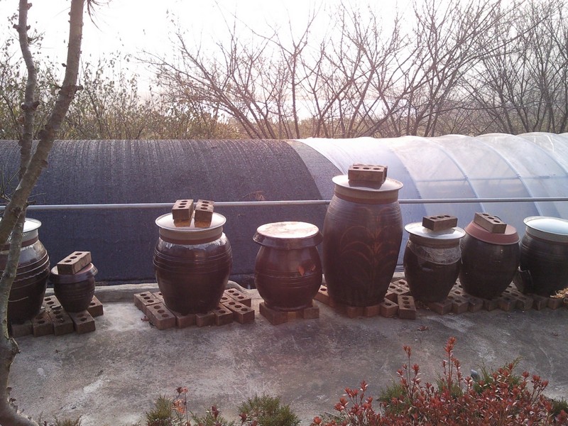 2010-12-01-014.jpg