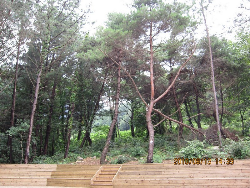 2010-08-13-012.jpg