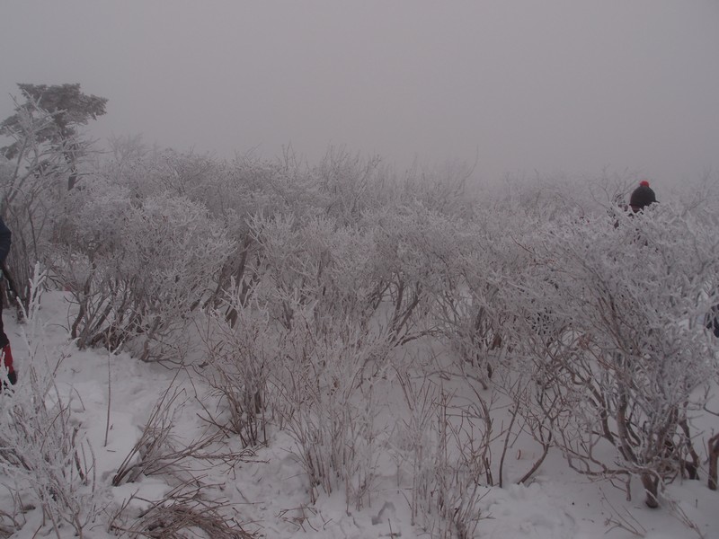 P1010874.jpg
