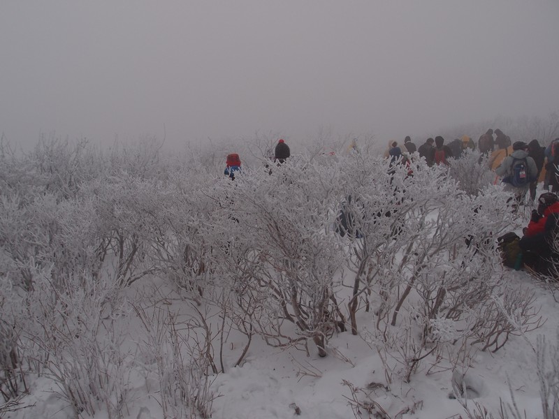 P1010875.jpg