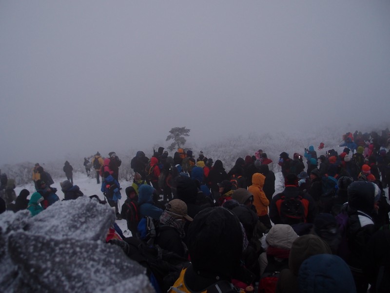 P1010863.jpg