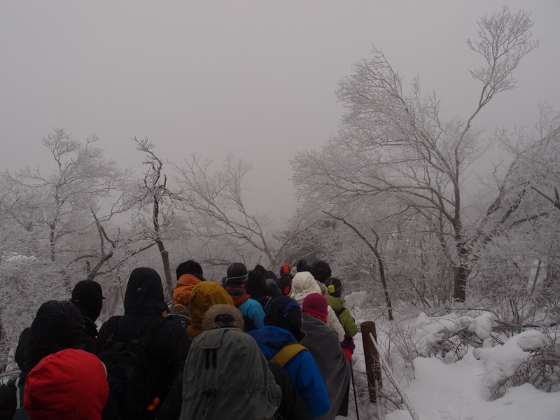 P1010896.jpg