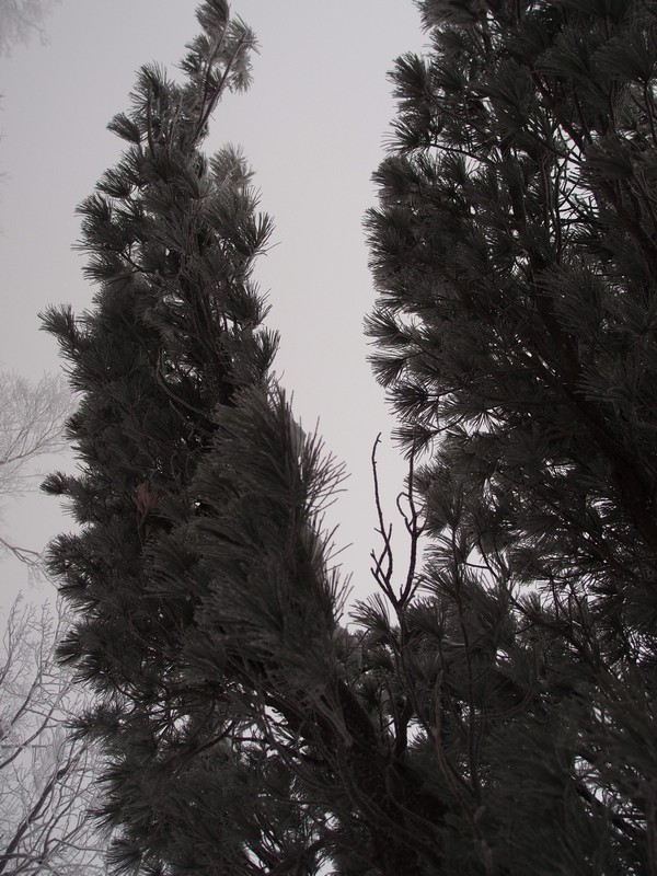 P1010895.jpg
