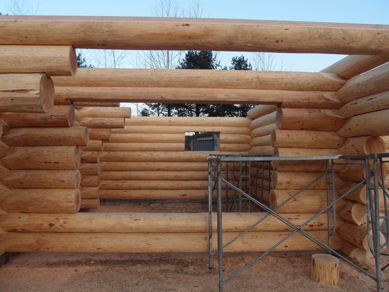 2012-02-16-007.JPG