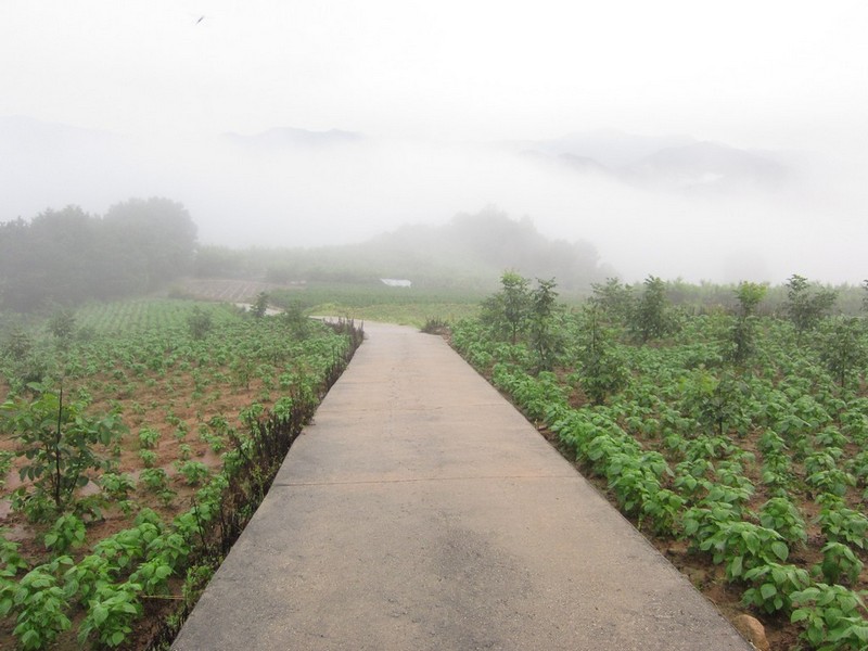 2010-08-14-229.jpg