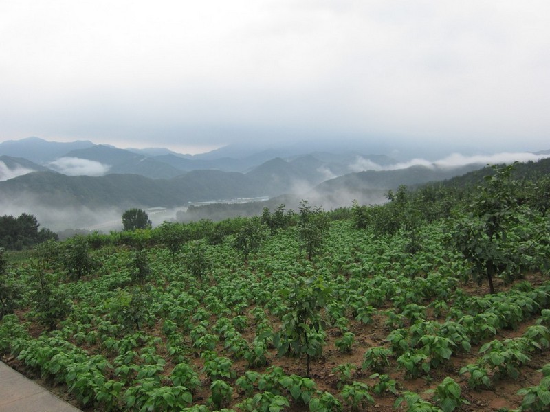 2010-08-14-230.jpg