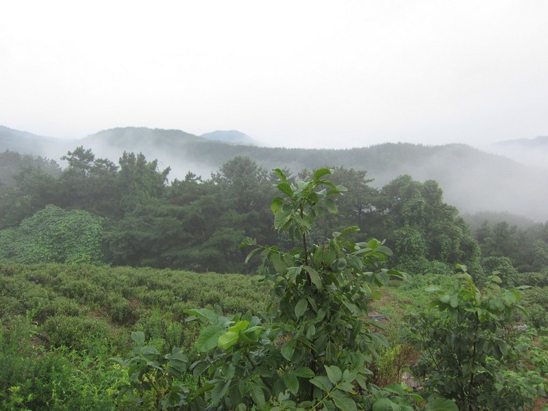 2010-08-14-241.jpg