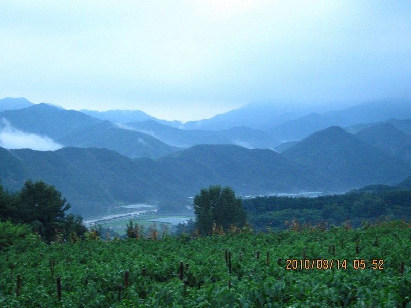 2010-08-14-054.jpg