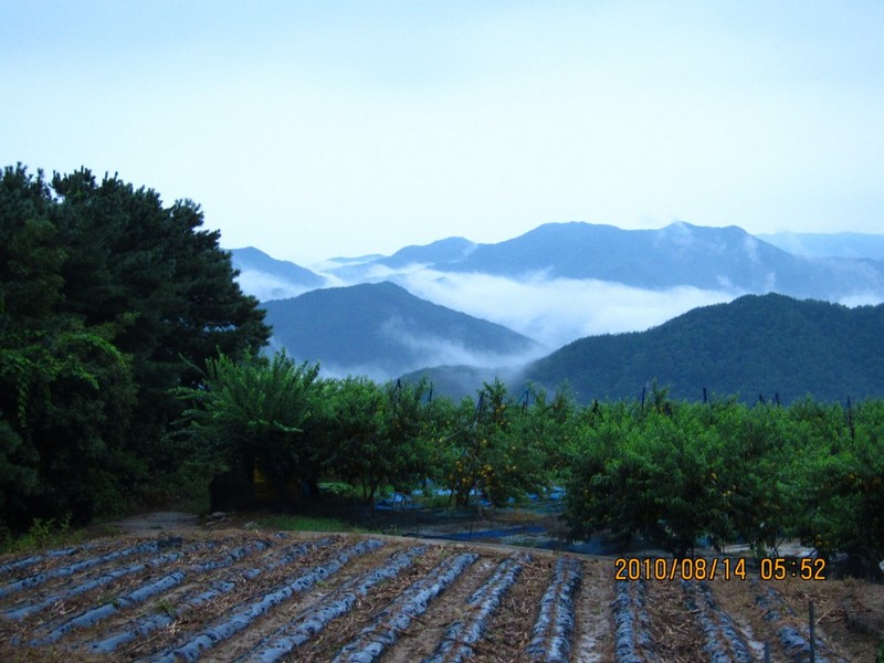 2010-08-14-055.jpg