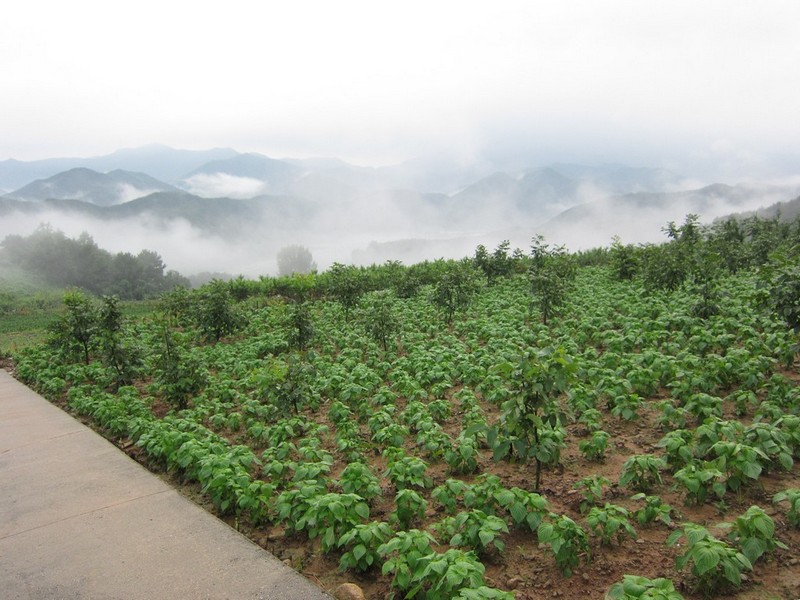 2010-08-14-231.jpg