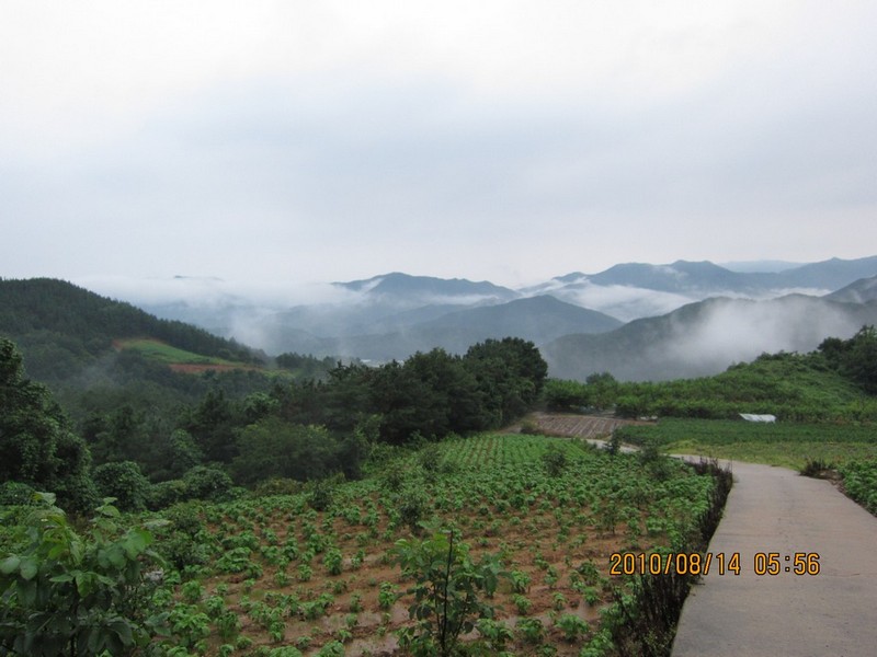 2010-08-14-061.jpg