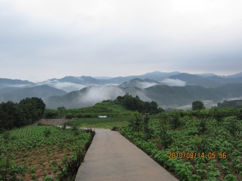 2010-08-14-062.jpg