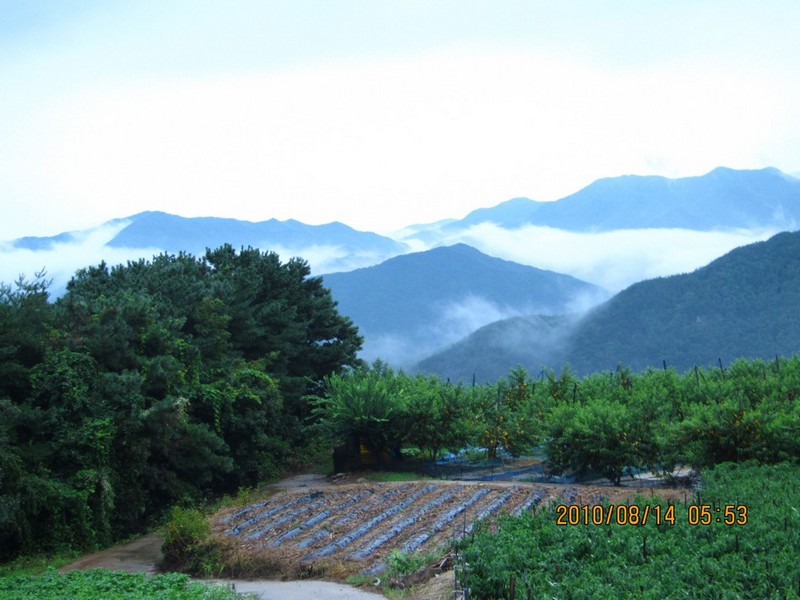 2010-08-14-056.jpg
