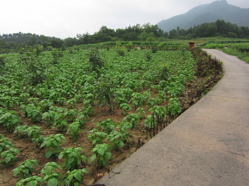 2010-08-14-237.jpg