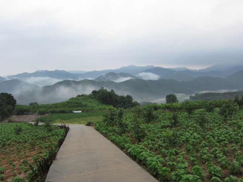 2010-08-14-227.jpg