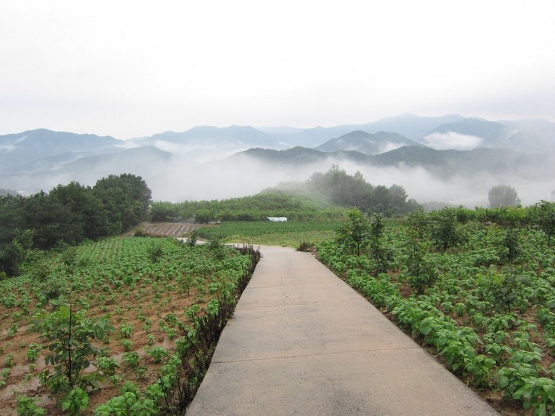 2010-08-14-228.jpg