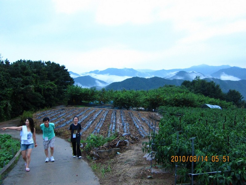 2010-08-14-052.jpg