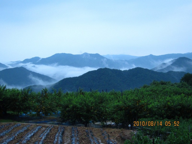 2010-08-14-053.jpg